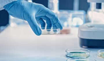 Food Analysis – General Introduction