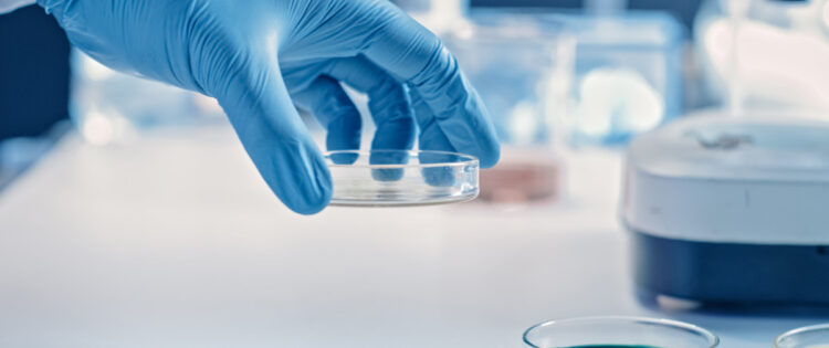 Food Analysis – General Introduction